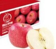 京鮮生 煙臺紅富士蘋(píng)果 凈重10斤 單果220g以上 禮盒裝 生鮮水果 曬單實(shí)拍圖