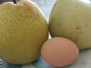 河北皇冠雪梨冰糖雪梨水果鴨梨玉露香梨 雪花梨帶箱2斤單果150g凈重1.5斤 曬單實(shí)拍圖