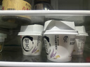 光明如實(shí)酸奶135g發(fā)酵乳4.2g/100g蛋白質(zhì)0添加劑老酸奶高品質(zhì)健康輕食 如實(shí)酸奶135g【內贈奇亞籽】 12杯 曬單實(shí)拍圖