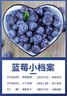 田良季云南藍莓【JD多地次日達】花香藍莓超大藍莓新鮮水果年貨送禮禮盒 精選大果丨單果18mm+【80%人選擇】 【超劃算】6盒裝丨單盒凈重100-125g 曬單實(shí)拍圖