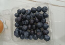 田良季云南藍莓【JD多地次日達】花香藍莓超大藍莓新鮮水果年貨送禮禮盒 品質(zhì)中小果丨單果12mm+ 【較劃算】4盒裝丨單盒凈重100-125g 曬單實(shí)拍圖