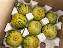 趣嘗鮮 山東花蕾香瓜 凈重4.5斤 單果250g起 甜瓜 源頭直發(fā) 一件包郵 曬單實(shí)拍圖
