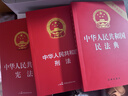 【全3冊】中華人民共和國民法典+憲法+刑法 法律啟蒙書(shū)家庭糾紛維權利益維護 曬單實(shí)拍圖