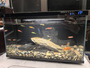 米家小米米家智能生態(tài)魚(yú)缸還原自然生態(tài)補倉一次三月無(wú)憂(yōu)出差旅行必備 曬單實(shí)拍圖