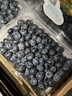 云南藍莓【JD快遞多地次日達】 新鮮水果年貨節送禮 單盒凈重90g+ 8盒裝 多買(mǎi)多劃算【90-115g/盒】 中果【單果15mm+】 曬單實(shí)拍圖