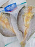 海名威 寧德三去黃花魚(yú)2斤/2條凈重 大黃魚(yú) 海鮮海魚(yú) 生鮮魚(yú)類(lèi) 地標認證 曬單實(shí)拍圖