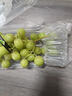 竹域澳洲甜地球青提子秋天脆綠葡萄當季水果整箱新鮮孕婦水果無(wú)籽 商超品質(zhì)1斤嘗鮮裝（無(wú)禮盒） 曬單實(shí)拍圖