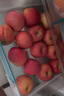 京鮮生 煙臺紅富士蘋(píng)果 凈重10斤 單果220g以上 禮盒裝 生鮮水果 曬單實(shí)拍圖