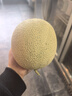 京鮮生 海南網(wǎng)紋蜜瓜 2粒裝 凈重4-5斤 單果2斤起 生鮮水果禮盒  曬單實(shí)拍圖