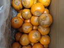 廣西武鳴沃柑新鮮當季水果大果桔子皇帝蜜橘砂糖柑橘整箱京東物流 帶箱9斤大果【新鮮采摘產(chǎn)地直發(fā)】 曬單實(shí)拍圖