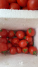 廣西露天圣女果櫻桃小番茄即食水果西紅柿新鮮蔬菜應季整箱批發(fā)價(jià) 帶箱5斤 4.5斤 凈重 曬單實(shí)拍圖