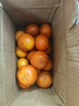 廣西武鳴沃柑新鮮當季水果大果桔子皇帝蜜橘砂糖柑橘整箱京東物流 帶箱5斤特大果【新鮮采摘產(chǎn)地直發(fā)】 曬單實(shí)拍圖