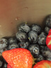 云南高山大藍莓500g 18mm 曬單實(shí)拍圖