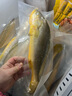 鮮京采冷凍三去黃花魚(yú)(寧德大黃魚(yú))1700g(5條裝)禮盒 曬單實(shí)拍圖