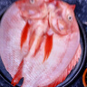 仙泉湖三去星洲紅1斤單條凈膛后冷凍羅非魚(yú)刺少海鮮水產(chǎn)生鮮食材 曬單實(shí)拍圖