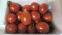 廣西露天圣女果櫻桃小番茄即食水果西紅柿新鮮蔬菜應季整箱批發(fā)價(jià) 帶箱5斤 4.5斤 凈重 曬單實(shí)拍圖