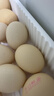 京鮮生【每日鮮蛋】無(wú)抗谷物雞蛋30枚 3.18斤 當日產(chǎn)蛋 當日發(fā)貨 曬單實(shí)拍圖