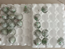 神丹 松花蛋 20枚共1.04kg 無(wú)鉛工藝皮鴨蛋 家庭裝 源頭直發(fā)包郵 曬單實(shí)拍圖