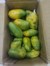 小臺農芒果【多地次日達】小芒果新鮮水果整箱應當季海南熱帶水果 特級果【單果100g+】 5斤裝【超劃算】?jì)糁?.5斤 曬單實(shí)拍圖