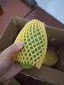 南步正宗越南玉芒 當季甜心芒果青皮金煌芒大芒果水仙芒新鮮熱帶水果 玉芒 4.5斤 特大果【單果280g+】 曬單實(shí)拍圖
