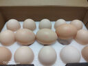 1號會(huì )員店（One's Member）可生食雞蛋30枚凈重3.6斤精選大碼蛋禮盒裝 源頭直發(fā) 曬單實(shí)拍圖
