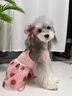 阿莫爾寵物狗狗衣服夏季薄款防掉毛透氣貓咪夏裝比熊短袖裙子2026新款 粉色草莓（送頭飾） XS（建議1-2斤內寵物）主要參考胸圍背長(cháng) 曬單實(shí)拍圖