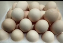 【無(wú)抗】七鮮 臻心柴雞蛋20枚1kg 曬單實(shí)拍圖