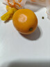廣西融安第三代脆蜜金桔生鮮水果脆甜不澀橘子融安直發(fā)年貨包郵 凈重1.8斤 5號果 曬單實(shí)拍圖