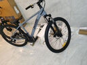 喜德盛（xds）山地自行車(chē)26款旭日310運動(dòng)健身學(xué)生青少年成人騎行變速輕便單車(chē) 26款旭日310巖石灰15.5寸 曬單實(shí)拍圖