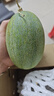【今年新果】海南正宗曉蜜新鮮采摘水果蜜瓜甜瓜西州蜜 哈密瓜帶箱1.5-2斤 曬單實(shí)拍圖