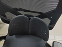 京嚴腰靠辦公室人體工學(xué)腰墊椅子靠墊汽車(chē)座椅護腰墊靠背腰托久坐神器 經(jīng)典黑【透氣網(wǎng)面-常規款】推薦久坐人群 40cm*14cm 含枕芯 5擋可調/舒適減壓/貼合腰椎 曬單實(shí)拍圖
