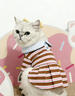 嬉皮狗（hipidog）貓咪衣服2026新款春裝夏季彩色條紋翻領(lǐng)連衣裙寵物薄款透氣貓裙子 洛米棕 M （建議體重5-8斤） 曬單實(shí)拍圖