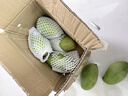 元珍鮮誠 海南青皮金煌甜心芒果源頭直采芒果新鮮水果整箱送禮 含箱5斤凈重4.5斤（200-350g） 曬單實(shí)拍圖