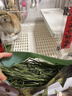 BCM頭茬烘干提摩西草 提草段兔草 龍貓兔子草 兔子飼料牧草兔糧500g 曬單實(shí)拍圖