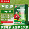 綠松林 萬(wàn)能膠強力膠水 粘草坪專(zhuān)用膠 地毯地板革人造塑料假草皮廣告布木頭專(zhuān)用膠 桶裝2kg(送工具) 曬單實(shí)拍圖