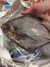 深海天然黑鯧魚(yú)急凍鎖鮮肉厚刺少野生烏鯧黑昌烏昌鐵板昌烏鱗魚(yú)類(lèi) 黑鯧魚(yú)300-350g /包(去鱗去內臟) 1包 曬單實(shí)拍圖