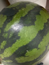 【無(wú)籽】美都無(wú)籽麒麟西瓜1粒 約4.6kg 曬單實(shí)拍圖