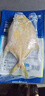翔泰海南大規格金鯧魚(yú)550g1條海魚(yú)生鮮魚(yú)類(lèi)火鍋 海鮮水產(chǎn) 曬單實(shí)拍圖