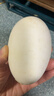 山東現撿新鮮鵝蛋孕婦農家土鵝蛋正宗特產(chǎn)現撿大個(gè)生鵝蛋精品 6枚裝180g-200g 曬單實(shí)拍圖