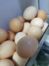 京喜加富硒無(wú)抗生素黑山褐殼谷物粉殼鮮蛋現檢現發(fā)均重55g-65g包郵到家 富硒無(wú)抗雞蛋30枚粉殼 曬單實(shí)拍圖