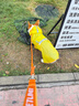 歡寵網(wǎng)狗狗雨衣全包四腳寵物狗小狗大型犬柯基雨披雨天遛狗防水防濕護肚 曬單實(shí)拍圖