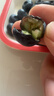 山姆大叔云南花香藍莓王6盒禮盒裝【中通JD順豐速運-多地隔日達】水果禮盒 【花香級】巨無(wú)霸丨單果18mm+【蜜甜】 125g*4盒【巨劃算-80%人選】?jì)?00g 曬單實(shí)拍圖