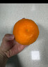 京地達四川春見(jiàn)耙耙柑凈重8斤特大果15-18粒柑橘桔子水果源頭直發(fā) 曬單實(shí)拍圖