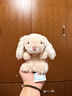 Jellycat米色甜美小兔小短腿公仔動(dòng)物毛絨玩偶娃娃送禮生日禮物 甜美小兔 One Size 曬單實(shí)拍圖