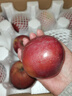 現摘現發(fā)當季云南昭通野生冰糖心丑蘋(píng)果脆甜水果新鮮大涼山10斤 5斤精品中果70mm-75mm 曬單實(shí)拍圖