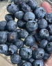 JDBMO藍莓新鮮云南花香藍莓【多地次日達】怡顆大藍莓鮮果孕婦水果 【4盒大果】單果18mm+ 凈100-125g 曬單實(shí)拍圖