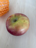 佳農 新疆阿克蘇冰糖心蘋(píng)果8斤 單果200-250g 生鮮水果 曬單實(shí)拍圖