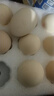 云依禾農莊 散養雞蛋新鮮現撿土雞蛋谷物蟲(chóng)草柴雞蛋笨雞蛋生鮮 【鮮雞蛋】16枚 曬單實(shí)拍圖
