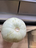 京鮮生 羊角蜜甜瓜 3斤 單果400g起 生鮮水果 曬單實(shí)拍圖