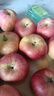 正品新疆阿克蘇冰糖心蘋(píng)果當季新鮮水果整箱脆甜紅富士丑蘋(píng)果 帶箱8斤凈重7斤（小果70mm+） 曬單實(shí)拍圖